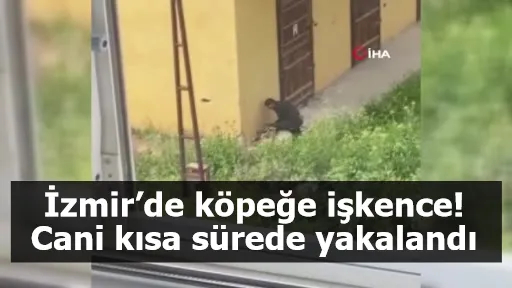 İzmir’de köpeğe işkence! Cani kısa sürede yakalandı