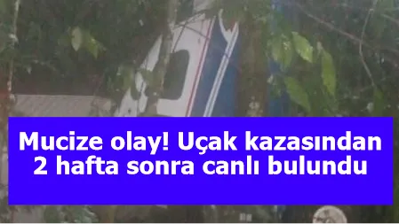 Mucize olay! Uçak kazasından 2 hafta sonra canlı bulundu