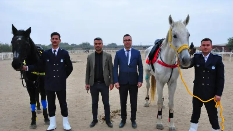 Cumhurbaşkanlığı Muhafız Alayı'nın 4 atı, artık Manisa zabıtasında görev yapacak