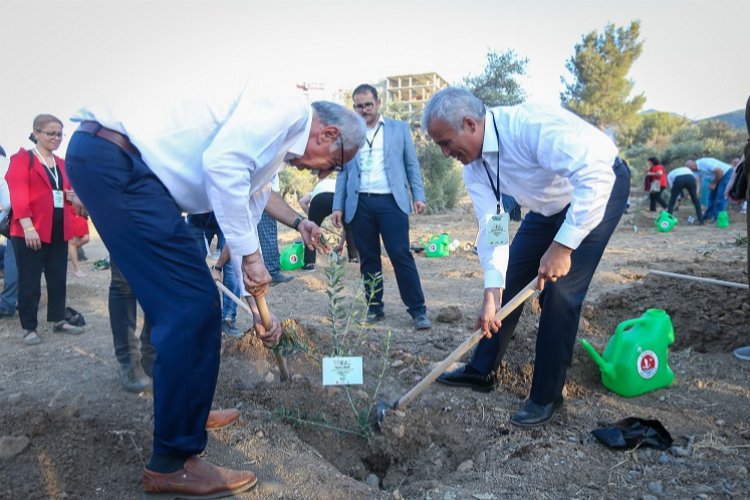 Gaziantep'te Girne Köyü'ne zeytin dikimi