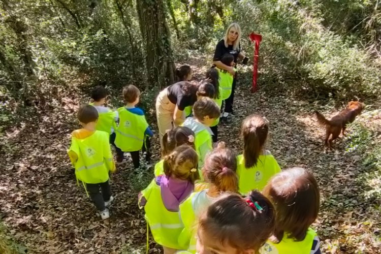 İzmit'in 'Orman Okulu'nda minikler kendi hikayelerini yazıyor