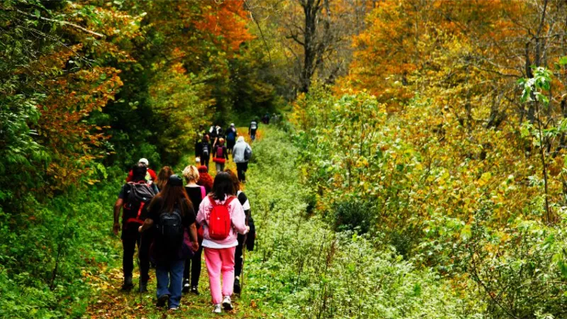 Sakarya'da sonbaharın büyüleyici yüzü