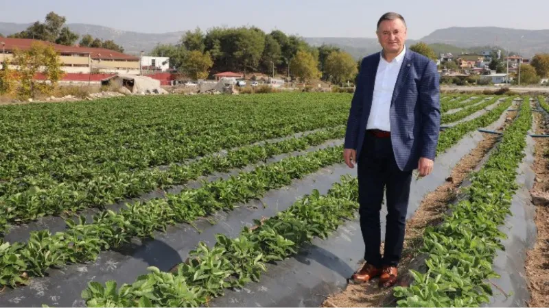 Başkan Savaş: "Hatay'da tüm uğraşımız çiftçimiz toprağını bırakmasın diye"