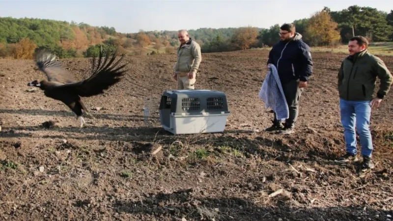 Tedavileri bitti, özgürlüğe uçtular