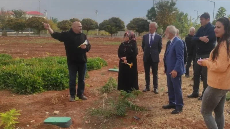 Dünyanın en değerli baharatı Şanlıurfa’ya yeniden kazandırıldı