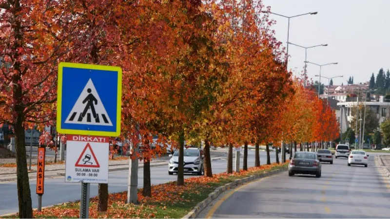 Sakarya'nın dokunduğu yollarda sonbahar esintisi