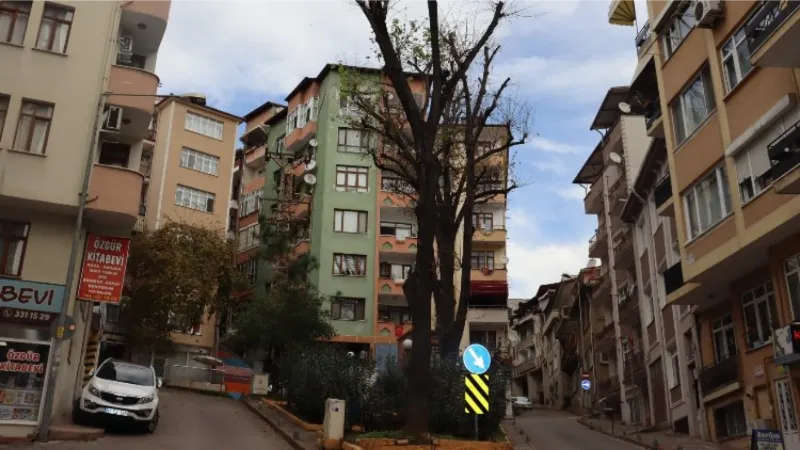 İzmit Belediyesi'nden ömrünü tamamlayan ağaçlara önlem