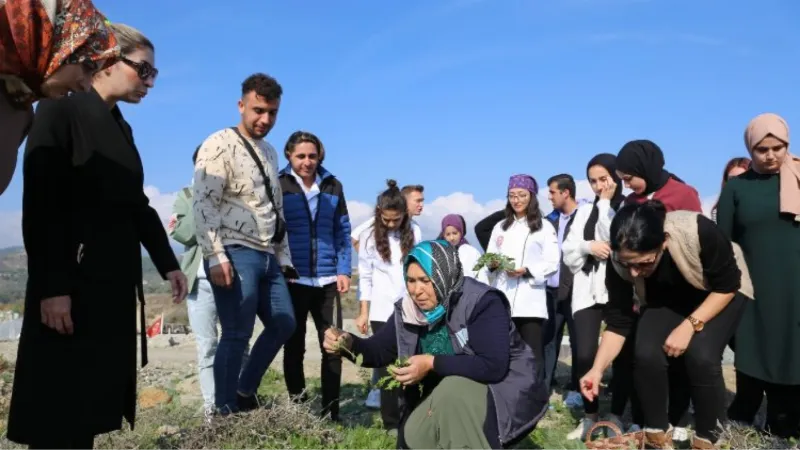 Hatay'da yenebilir otlar öğretildi