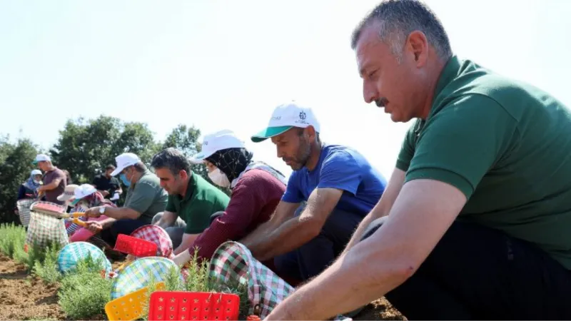 Kocaeli Büyükşehir SBÜ ile kentsel araştırma işbirliğinde