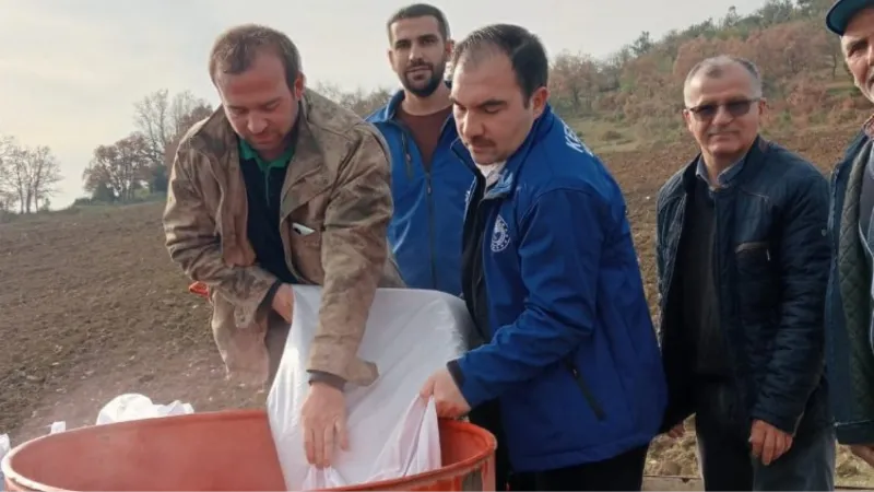 Bursa'da atıl topraklar buğday desteğiyle hayat buluyor