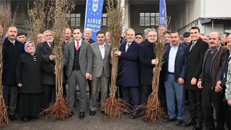 Bursa'da dağ yöresi meyvecilikle kalkınıyor