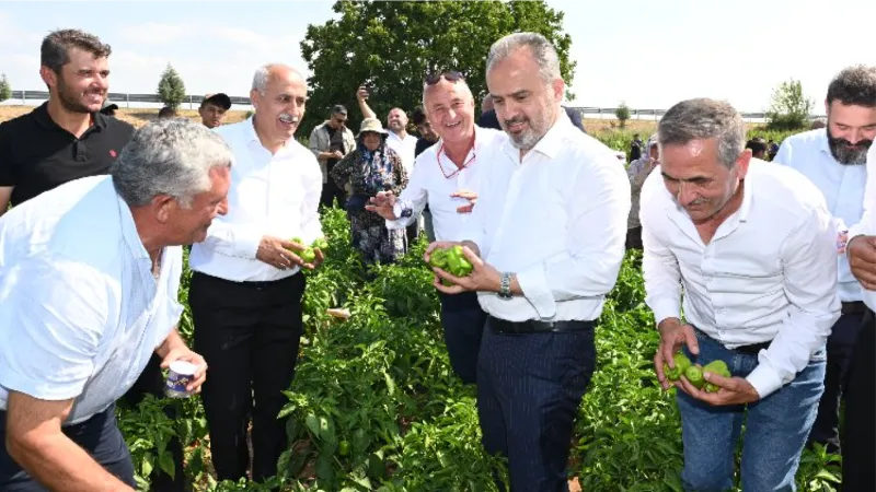 'Yenişehir Biberi' de tescili aldı... Bursa'nın tescilli ürünleri 24'e çıktı