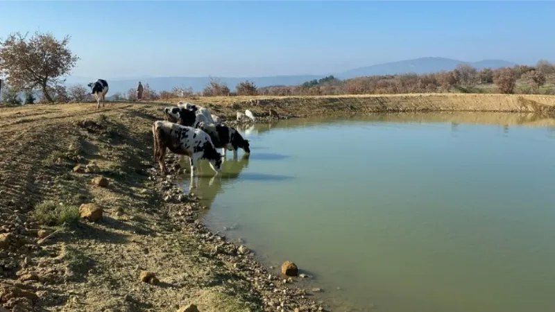 Manisa'da 2022'de 118 gölet yenilendi