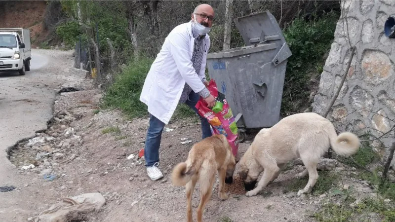 Bursalı veterinerden 'bir kap su, bir kap mama' çağrısı