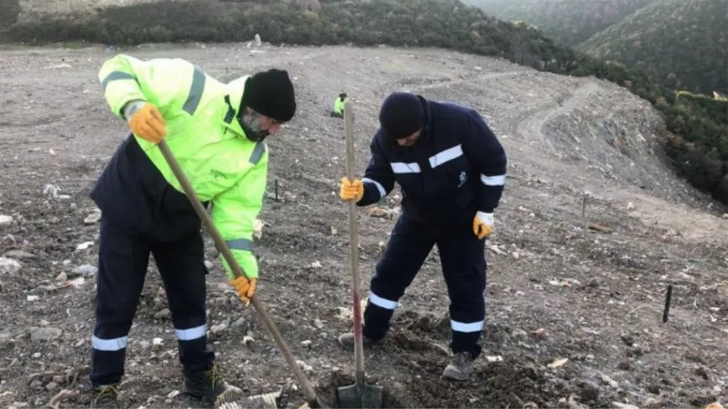 Karamürsel'e bin ağaç fidanı toprakla buluşacak