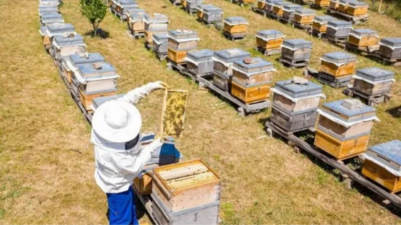 Bursa İnegöl Belediyesi'nden 250 adet 'arı kovanı' desteği