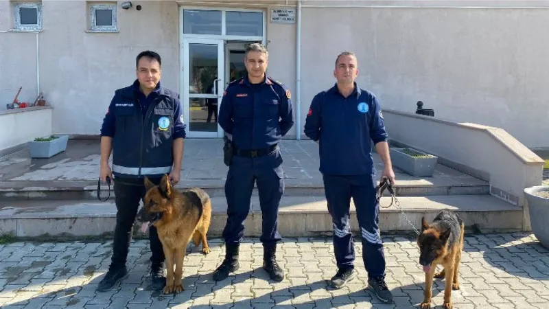 Manisa'da iki can dostunu Jandarma sahiplendi