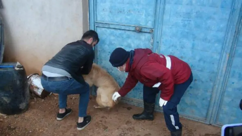 Adıyaman'da, karantinaya alınan köylerde aşılama çalışması başladı