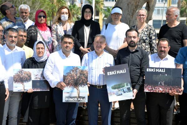 AK Parti'li Ercik'ten Mersin Büyükşehir Belediye yönetimine 'ağaç' tepkisi