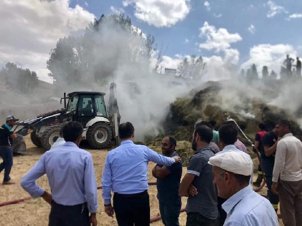 Van'da 5 bin bağ ot yandı