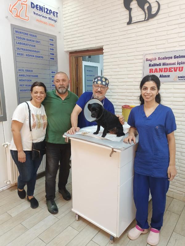 Köpeği 'Biber'in mesanesinden 55 parça taş çıktı