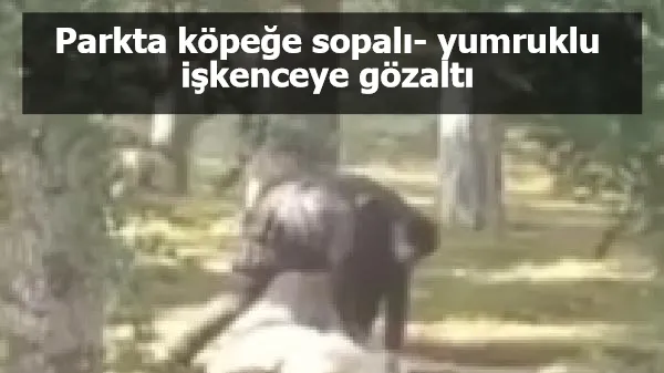 Parkta köpeğe sopalı- yumruklu işkenceye gözaltı