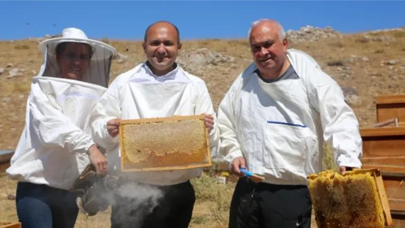 Eğriçayır balına ‘anti mikrobiyal’ tescili