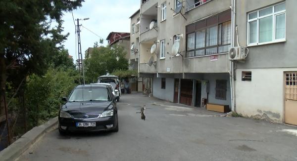 Maltepe'de tartıştığı eşini bıçakla ağır yaraladı