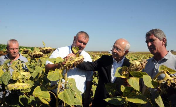 Kemal Kılıçdaroğlu: Ayçiçeği taban fiyatı ton başına 16 bin lira olmalı