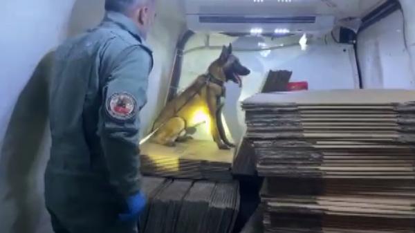 Araçtaki 34 milyon liralık uyuşturucuyu narkotik köpeği 'Bella' buldu