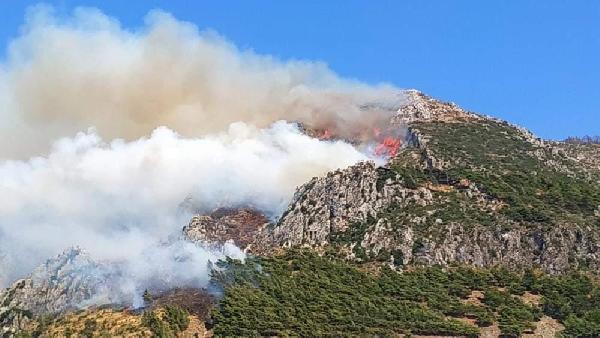 Hatay’da orman yangını