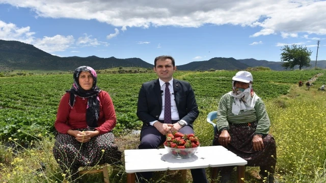 4 aile ile başlandı devlet desteğiyle 400 aileye geçim kaynağı oldu