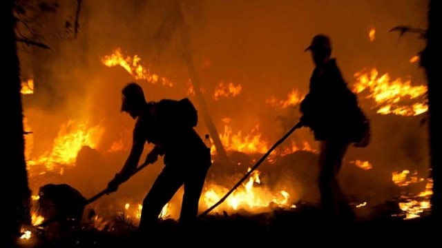 5 Haziran Dünya Çevre Günü’nde orman yangınları için kırmızı alarm