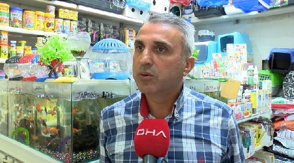 Akvaryumcular Odası'ndan, 'Kasaplar Odası' açıklaması: Her tarafta reklam oluyoruz