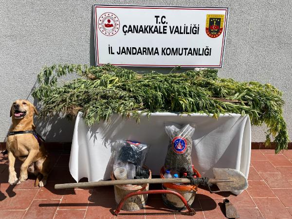 Çanakkale'de uyuşturucu operasyonu: 3 gözaltı