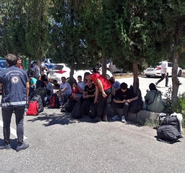 Muğla’da 6 organizatör tutuklandı