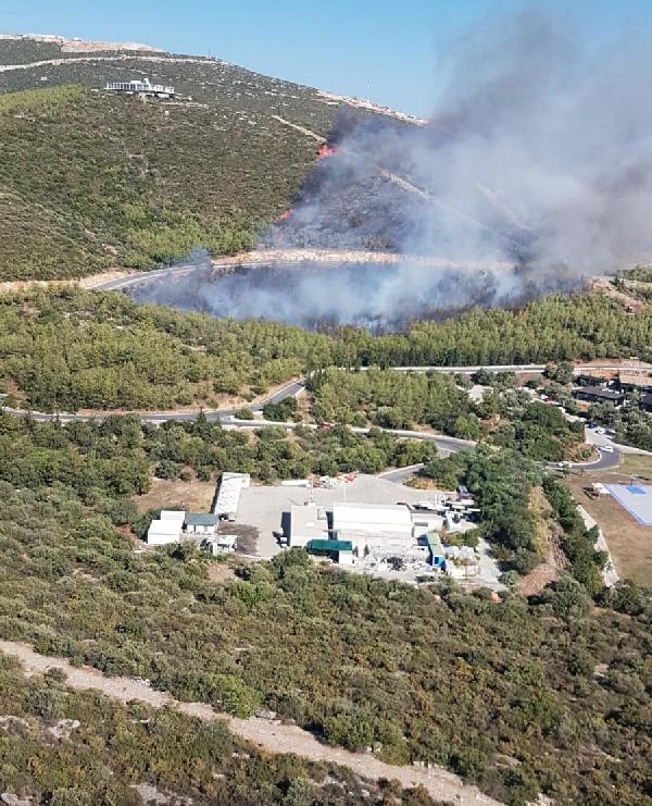 Muğla'da orman yangını