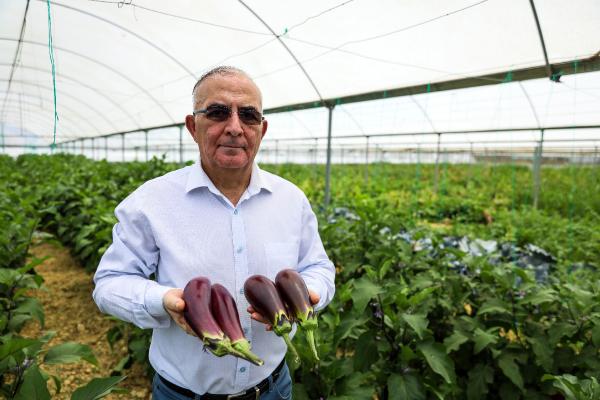 Tatil için gittiği eşinin memleketindeki patlıcanı dünyaya tanıttı