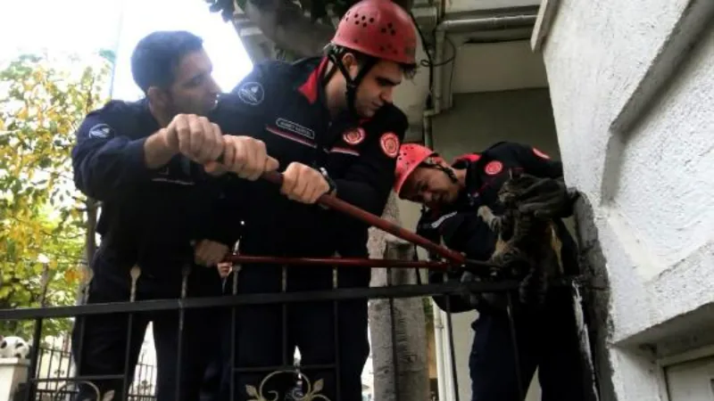 Avcılar'da bacağına bahçe demiri saplanan kediyi itfaiye kurtardı