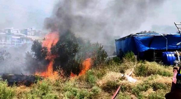 Kuşadası'nda zeytinlikte çıkan yangın, ormana sıçramadan söndürüldü