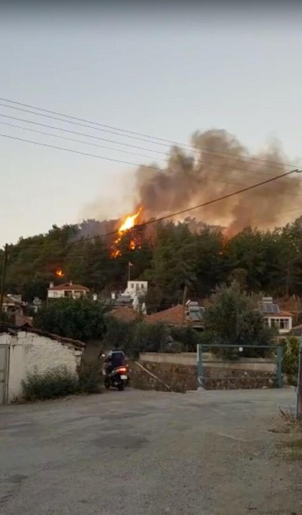 Muğla'da çıkan orman yangını büyümeden söndürüldü