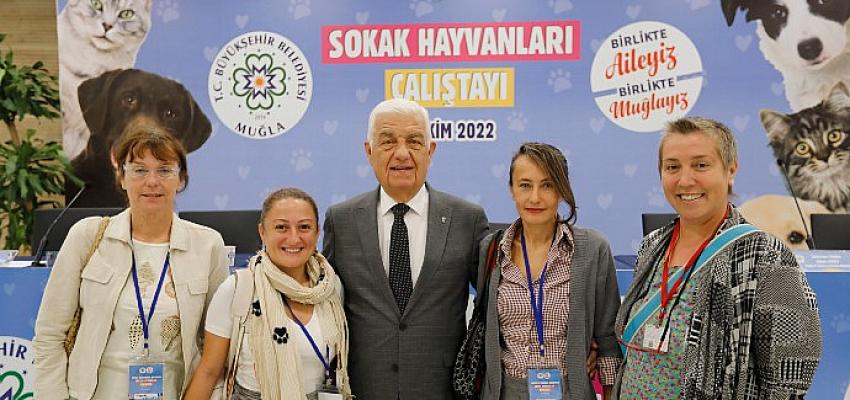 Muğla Büyükşehir Belediyesi candostlar için “Sokak Hayvanları Çalıştayı” düzenledi.