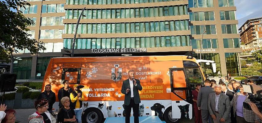 Üsküdar'da sokak hayvanlarına tam teşekküllü Mobil hastane