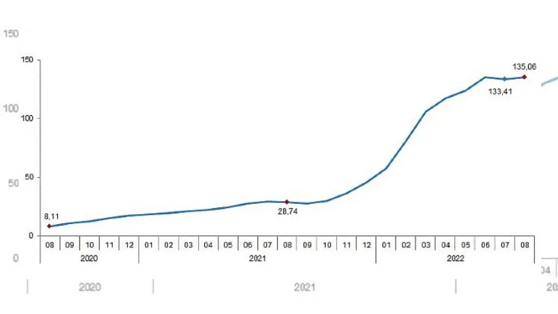 Tarımsal girdi fiyat endeksi (Tarım-GFE) yıllık yüzde 135,06, aylık yüzde 1,64 arttı