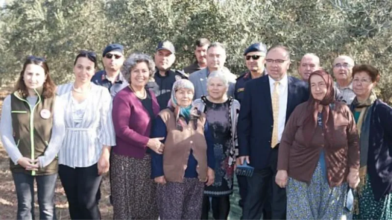 Foça'da Zeytin Hasadı Şenlikle Başladı