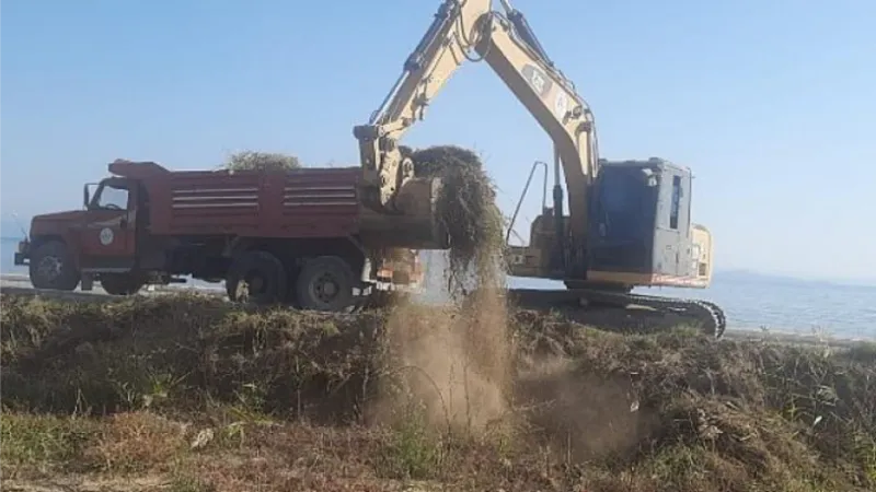 Mevsimlik Bakım ve Budama Çalışmaları Devam Ediyor