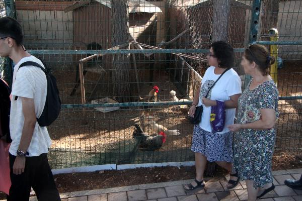 Hastalar için meyve serası ve hayvanat bahçesinde rehabilitasyon