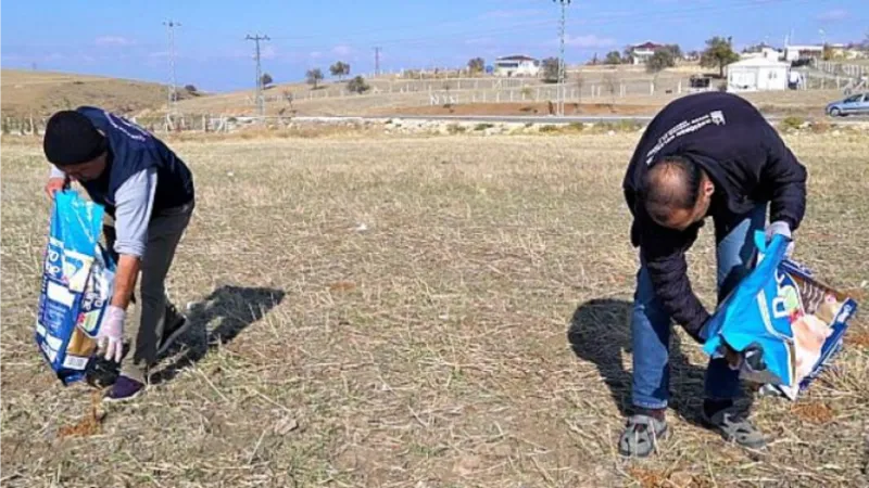 Sosyal Medyada Gündem Olan Tilki İçin Doğal Yaşam Alanına Yiyecek Bırakıldı