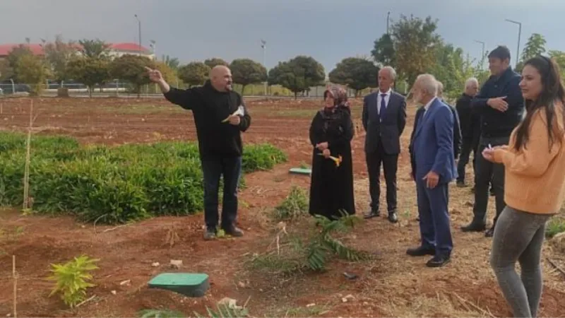 Harran Üniversitesi Dünyanın En Değerli Baharatını Şanlıurfa’ya Yeniden Kazandırdı