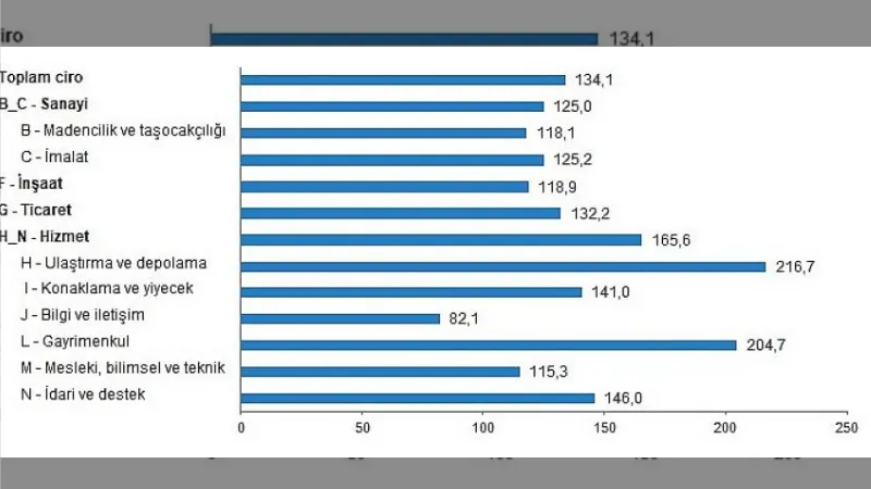 TÜİK Toplam ciro yıllık yüzde 134,1 arttı